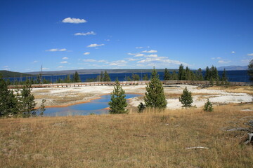 Wall Mural - Yellowstone River Geyser Boardwalk, Yellowstone National Park, Wyoming