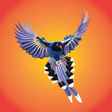Bird Taiwan Blue Magpie