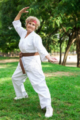 Wall Mural - Old lady exercising karate in park