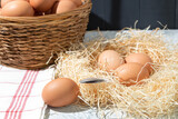 Fototapeta Mapy - Fresh chicken eggs in the nest, close up