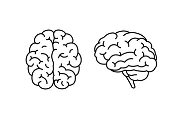 Human brain top and fside view
