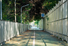 Green Path Has Alongside Way Of Two White Fences.Trees Shadow Shine A Black Light Like A Longway Of Tunnels. Bike Sign On A Top Of A Right Side Of A Fence.