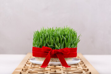 Wall Mural - Green fresh semeni sabzi wheat grass in white plate decorated with red ribbon with wooden shebeke pattern, Novruz spring equinox celebration in Azerbaijan