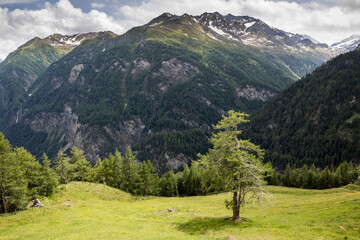 Die wunderbare Welt der Österreichischen Alpen