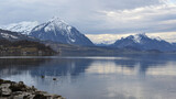 Fototapeta Do przedpokoju - Lake Thun in Switzerland during early spring