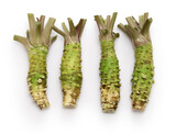 Fototapeta  - Wasabi (Japanese horseradish) is a Japanese condiment which is used in sushi and sashimi.