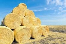 Round Hay Bales Stacked On A Field Under Blue Sky