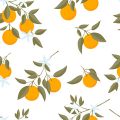 Wall Mural - Seamless pattern of hand drawn Oranges branch. Floral print. Sketch Exotic tropical citrus fresh fruit, tangerine with leaves and flowers. Vector cartoon minimalistic style illustration. Cute Doodle 
