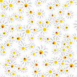 © olegganko - Flora Daisy Design Background. Seamless pattern. Illustartion