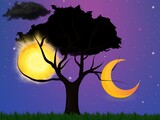 Fototapeta  - night landscape with moon