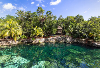 mexico tourism destination, cenote casa tortuga near tulum and playa del carmen.