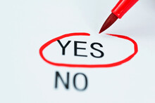 Pen Check Yes In YES Or NO Choice