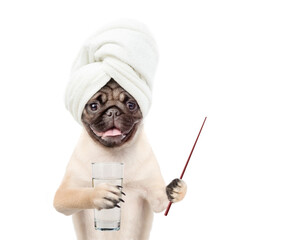 Poster - Pug puppy with towel on it head holds glass of water and points away on empty space. isolated on white background