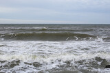 Fototapeta Morze - Baltic sea seascape view of shoreline and small waves.