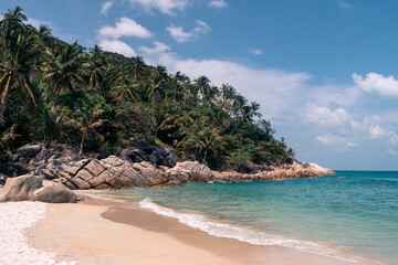 Wall Mural - beautiful wild sandy beach with palm trees and clear turquoise water