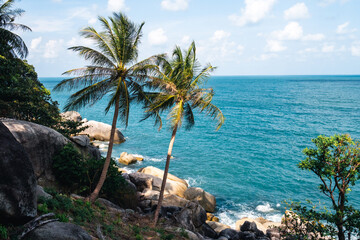 Wall Mural - two palm trees on the beautiful coast of the sea with turquoise water