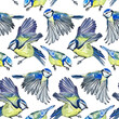 Watercolor Seamless Eurasian Birds Pattern