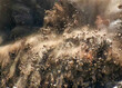 Dust clouds and rock particles during dynamite blasting 