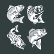 Hand drawn set jump fish for logo company illustration
