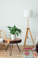Rattan Armchair And Floor Lamp In Living Room Interior With Plants. Cozy Interior In Boho Style. Real Photo