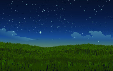 Wall Mural - night sky in meadow with stars