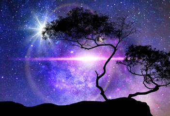 Wall Mural - galaxy night nature silhouette starry sky globe cosmic universe light plares nature background
