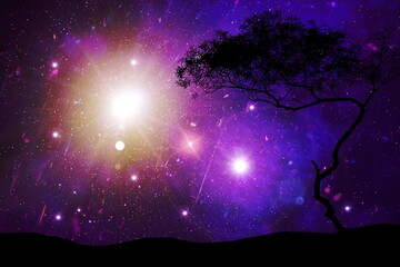 Wall Mural - galaxy night nature silhouette starry sky globe cosmic universe light plares nature background