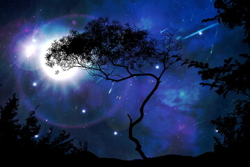 Wall Mural - galaxy night nature silhouette starry sky globe cosmic universe light plares nature background
