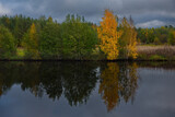Fototapeta Łazienka - Russia. Republic of Karelia. Autumn colors on the shore of Lake Ladoga near the city of Sortavala.