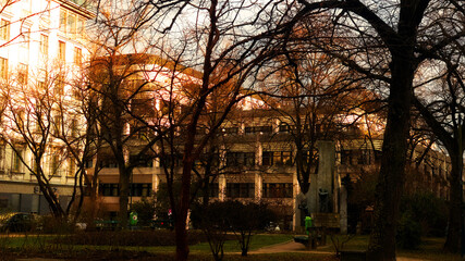 Wall Mural - in the park with beautiful light