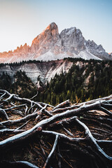 Wall Mural - Landscape view of a forest and the Dolomites mountains against a blue cloudless sky