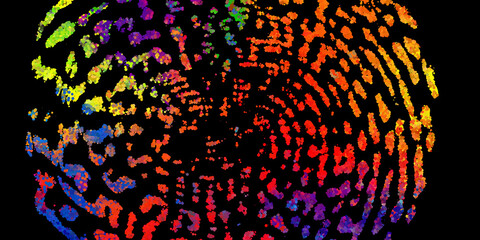 Poster - Bright abstract image in a modern style.