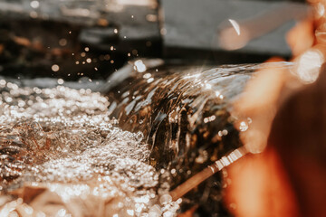 Canvas Print - Closeup photo of splashing water