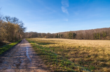 Poster - Beautiful shot of a road near a field under the cloudy skies