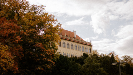 Wall Mural - beautiful shot of a building in a forest during the day in autumn