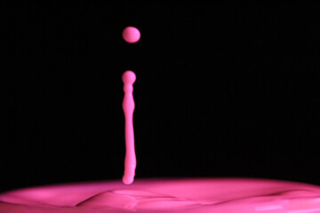 Canvas Print - Closeup shot of the pink paint falling in the paint on the black background