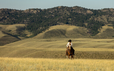 Sticker - Wyoming cowgirl