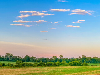 Canvas Print - Breathtaking scenery of a sunset over a green field under the blue sky