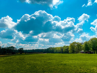 Sticker - Natural landscape of a vast green field under the fluffy clouds