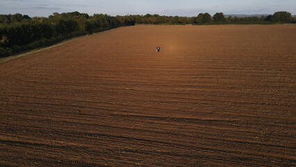 Wall Mural - Aerial view of a large agricultural field