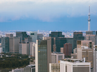 Wall Mural - Cityscape of Tokyo with high-rise modern buildings under a blue cloudy sky on a sunny day