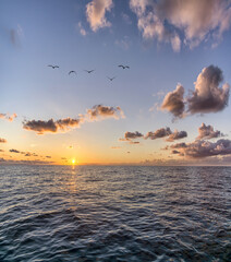Wall Mural - Vertical shot of the beautiful sunset above the sea.