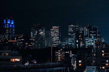 Wall Mural - Night view of the beautiful illuminated city and buildings of Tokyo, Japan
