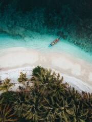 Poster - Aerial view of green trees on the coastline beach with majestic water and a boat on a sunny day