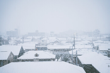 Wall Mural - Houses of Tokyo covered in snow on a cold winter day