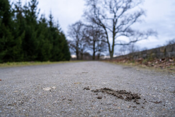 Sticker - Beautiful view of a road in a field with a cloudy sky