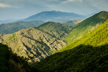 Canvas Print - Beautiful view of a mountain with forest