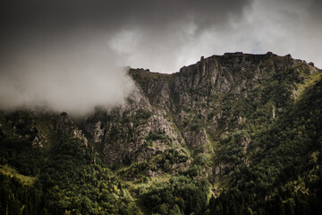 Poster - Beautiful view of a mountain with forest