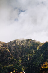 Sticker - Beautiful view of a mountain with forest