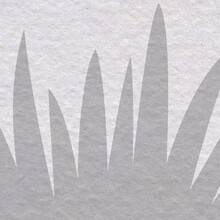White, Paper Background With Gray Grass Patterns